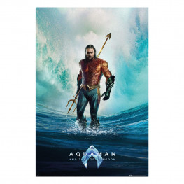 Aquaman and the lost Kingdom plagát Pack Tempest 61 x 91 cm (4)